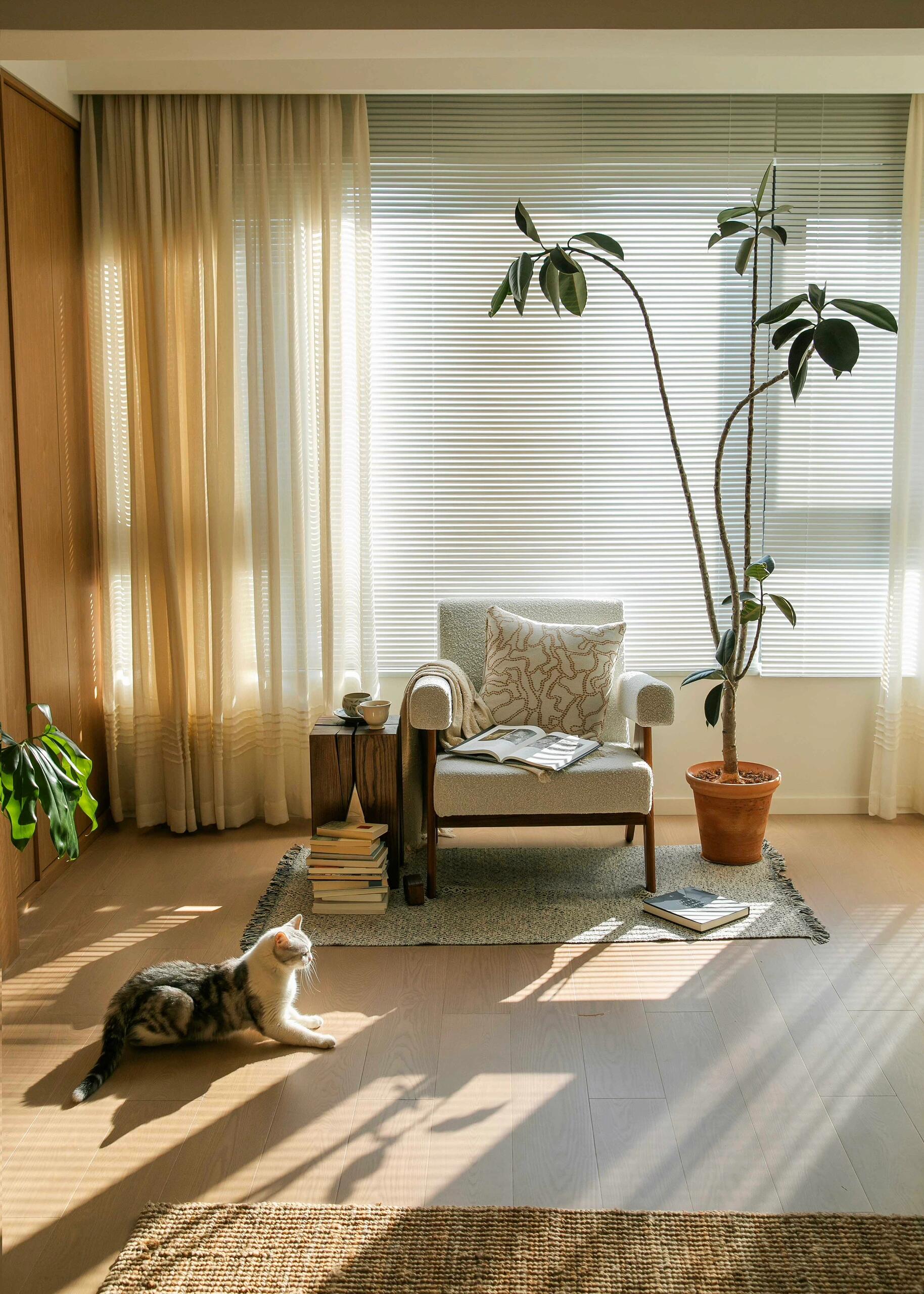 Why Sheer Curtains Are the Secret to a Perfect Sunroom (And How to Style Them)