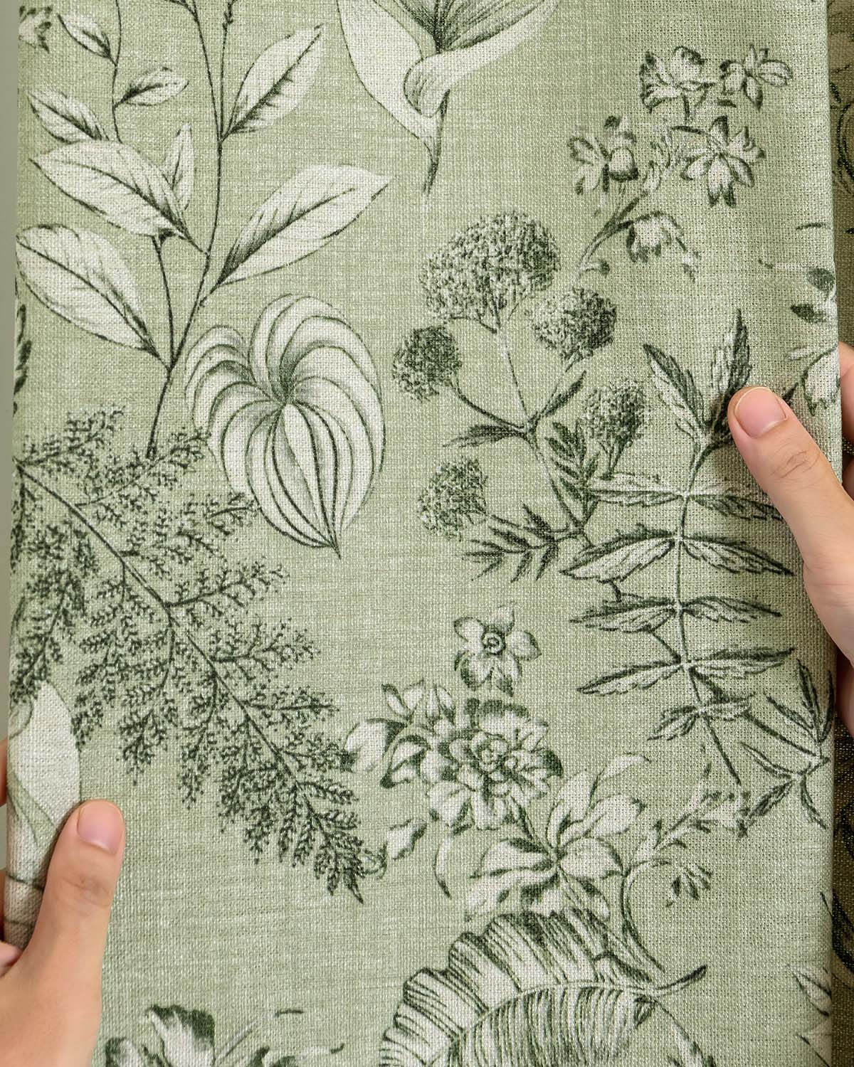 Palmetto-02