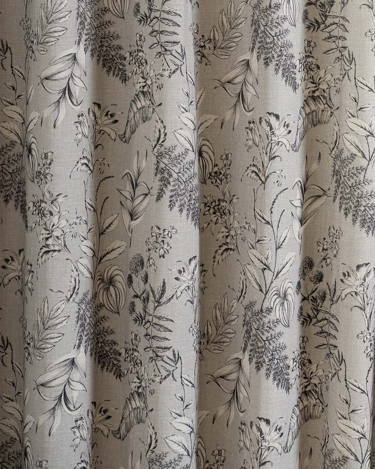 Palmetto-01